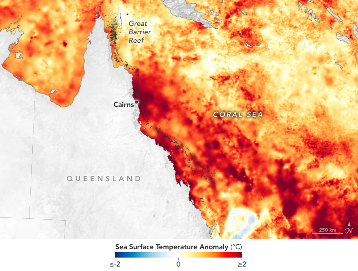 Sea surface temperature anomalies off the coast of eastern Australia in March 2022 compared to the average from 2003 to 2014. There is mainly yellows and red colors in all of the water locations shown, meaning warmer than normal sea temperatures. There are patches of bright red and dark red off the coast of Cairns where the Great Barrier Reef is located in part. The Great Barrier Reef is labeled near the top, Cairns is labeled toward the bottom of the tip of the continent, which is labeled Queensland. The Coral Sea is labeled to the left of the image.