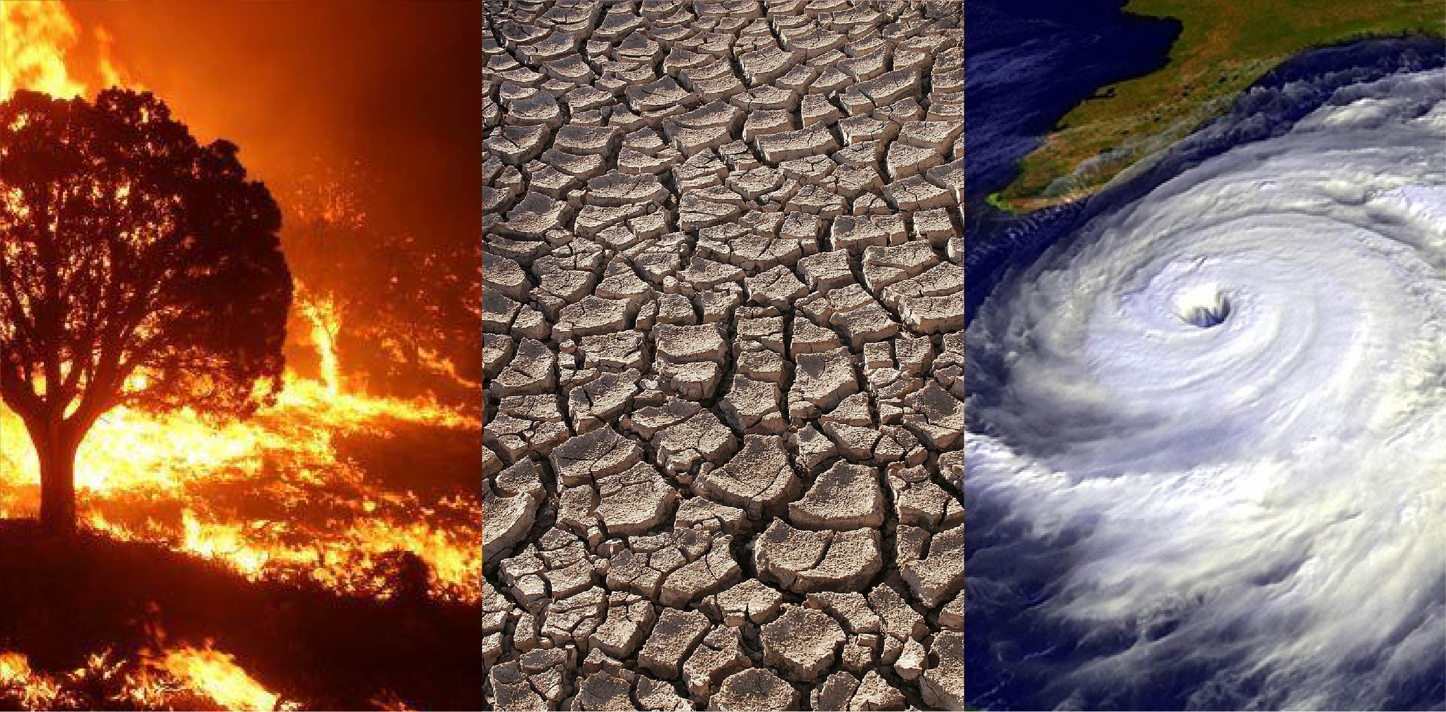 Effects | Facts – Climate Change: Vital Signs of the Planet