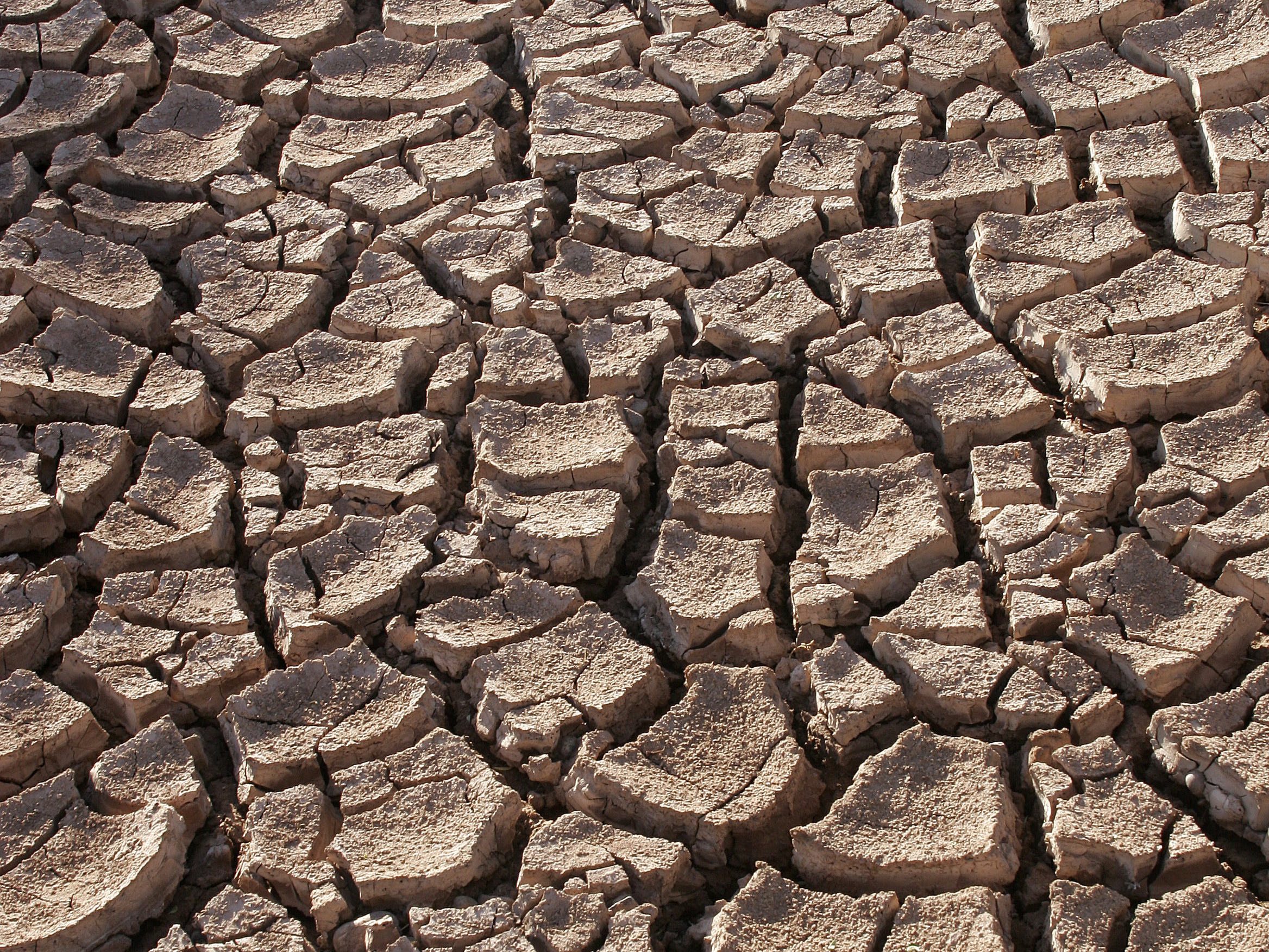 meer droogten en hittegolven