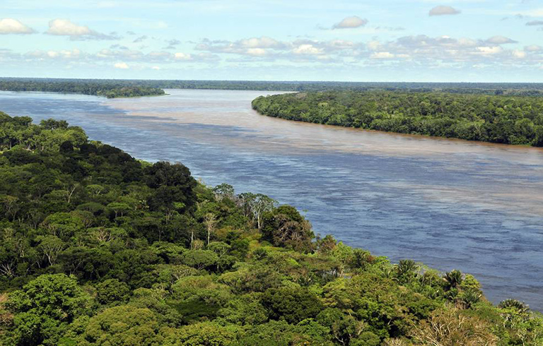 Tropical forest in the Amazon