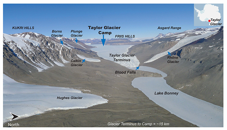 The view from the helicopter looking up Taylor Glacier. Taylor Glacier Camp is located about 15 km (about 9 miles) from the terminus, or end, of Taylor Glacier. Photo Credit: H. Roop.