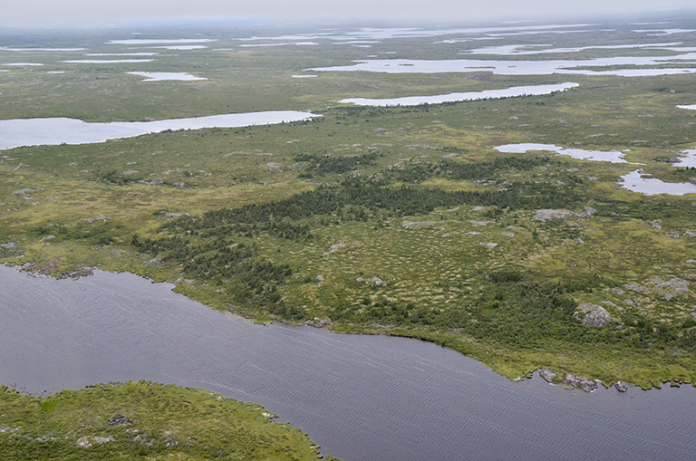 The view from a plane that is carrying instruments to measure the health of vegetation in the Arctic tundra of the Northwest Territories of Canada. A new study used measurements from the Landsat satellite mission to get the most detailed complete view yet of how plant life is changing across Alaska and Canada. Credit: NASA/Peter Griffith.