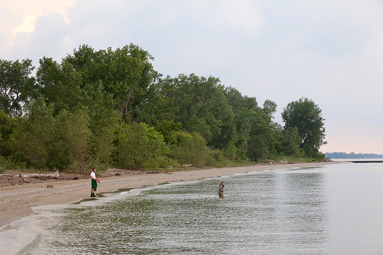 Photo of scientists on the shore and waist-deep in water.