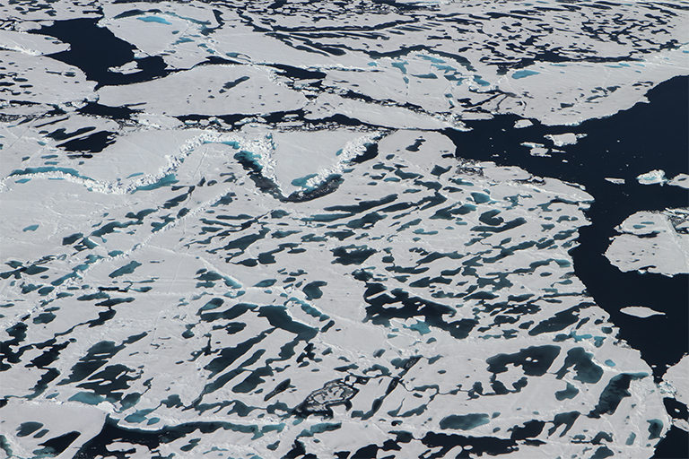 Sea ice loss 2016