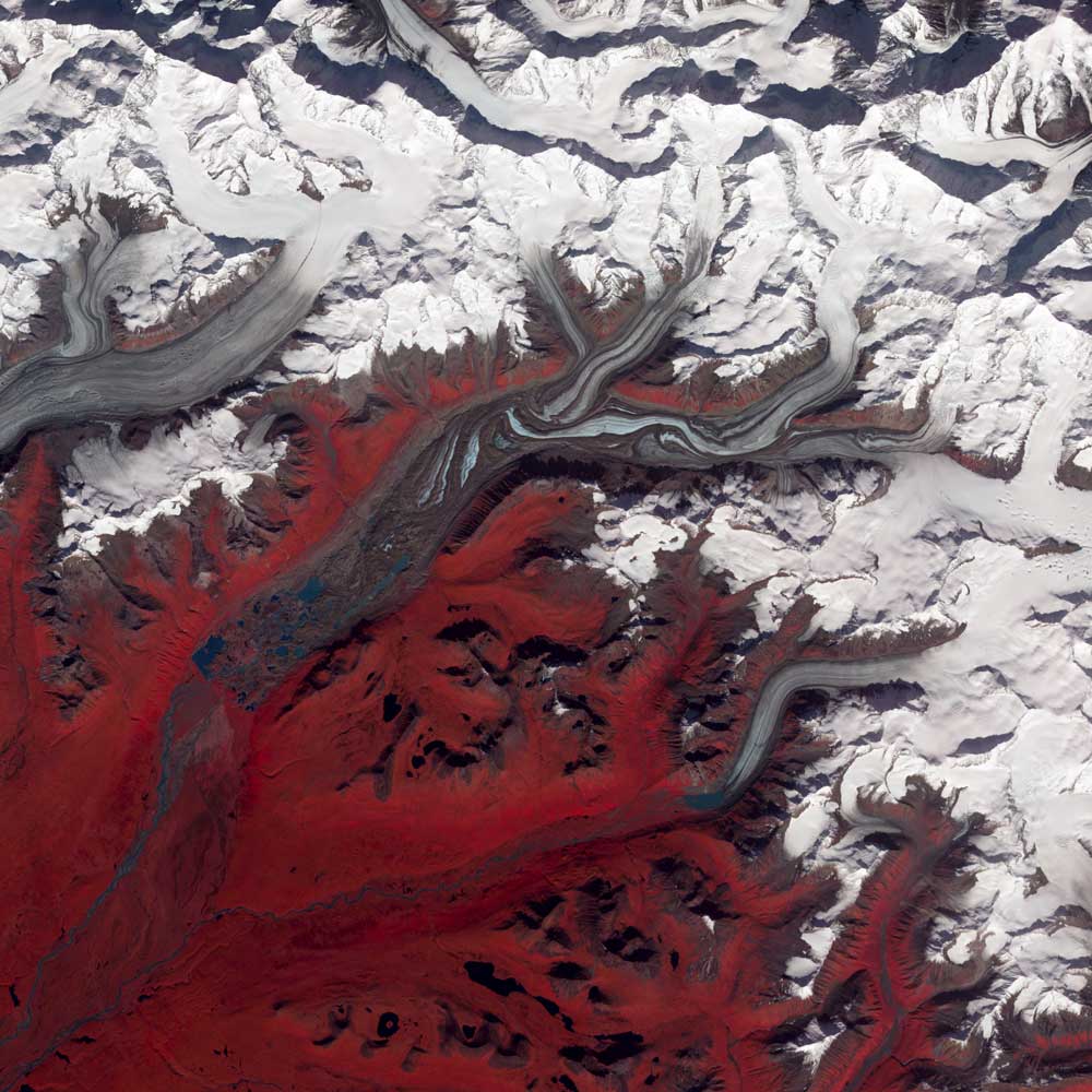 Like rivers of liquid water, glaciers flow downhill, with tributaries joining to form larger rivers. But where water rushes, ice crawls. As a result, glaciers gather dust and dirt, and bear long-lasting evidence of past movements. Alaska’s Susitna Glacier reveals some of its long, grinding journey in this image, taken from space on August 27, 2009. The satellite image combines infrared, red and green wavelengths to form a false-color picture. Vegetation is red and the glacier’s surface is marbled with dirt-free blue ice and dirt-coated brown ice. Infusions of relatively clean ice push in from tributaries in the north. The glacier surface appears especially complicated near the center of the image, where a tributary has pushed the ice in the main glacier slightly southward. In the lower left corner of this image, meltwater lakes can be seen on top of the ice.