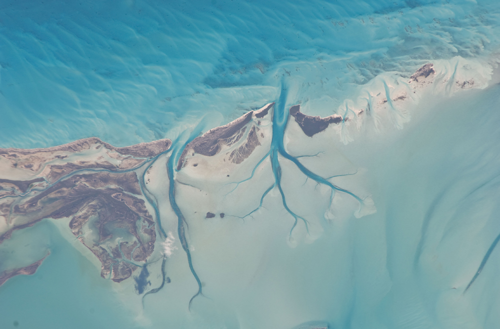 This image, showing tidal flats and channels on Long Island, in the Bahamas, was taken by an Expedition 26 crew member onboard the International Space Station. The islands of the Bahamas in the Caribbean Sea are situated on large platforms made mainly from carbonate sediments ringed by fringing reefs Ᾱ the islands themselves are only the parts of the platform currently exposed above sea level. The sediments are formed mostlyfrom the skeletal remains of organisms settling to the sea floor; over geologic time, these sediments will consolidate to form carbonate sedimentary rocks such as limestone. Darker blue shows deeper water, while light blue-green shows shallow water on the tidal flat. The continually exposed parts of the island are seen in brown, a result of soil formation and vegetation growth (left).