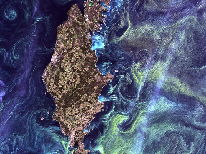 VAN GOGH FROM SPACE: In the style of Van Gogh's painting 'Starry Night,' massive congregations of greenish phytoplankton swirl in the dark water around Gotland, a Swedish island in the Baltic Sea. Phytoplankton are microscopic marine plants that form the first link in nearly all ocean food chains. Population explosions, or blooms, of phytoplankton, like the one shown here, occur when deep currents bring nutrients up to sunlit surface waters, fueling the growth and reproduction of these tiny plants. Image taken by Landsat 7 on July 13, 2005.