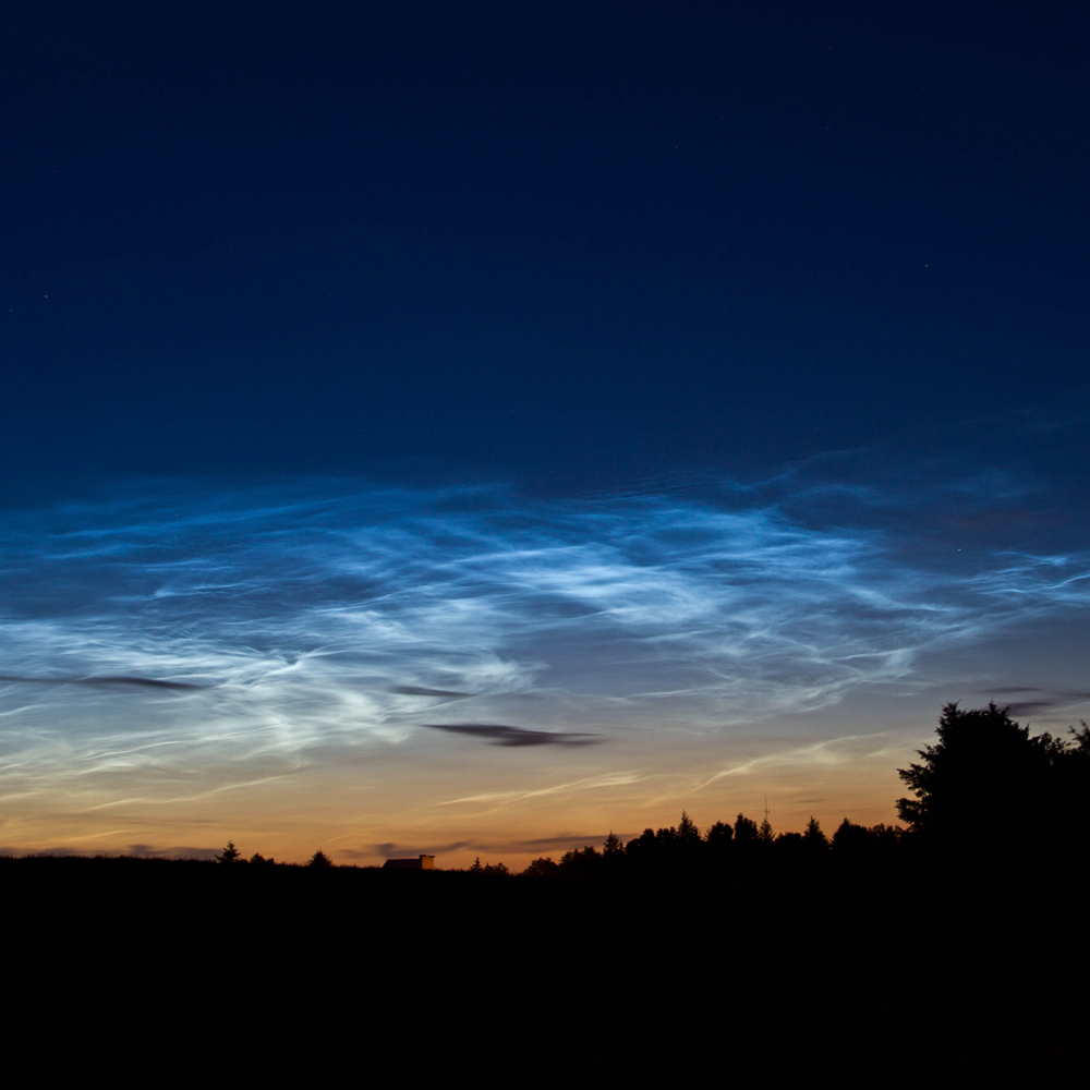 Nocturnal Wonders