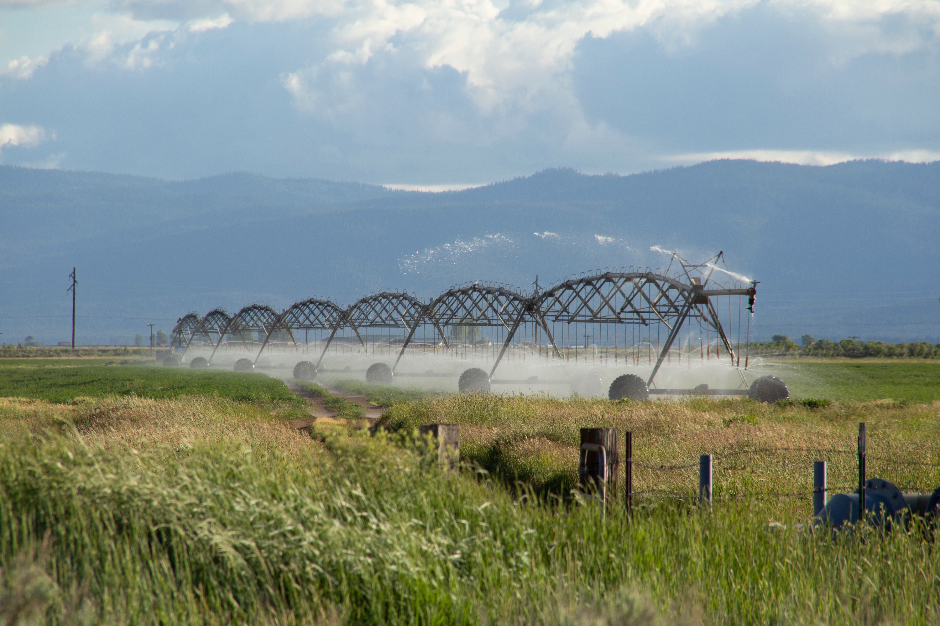 Image of irrigation in a crop field