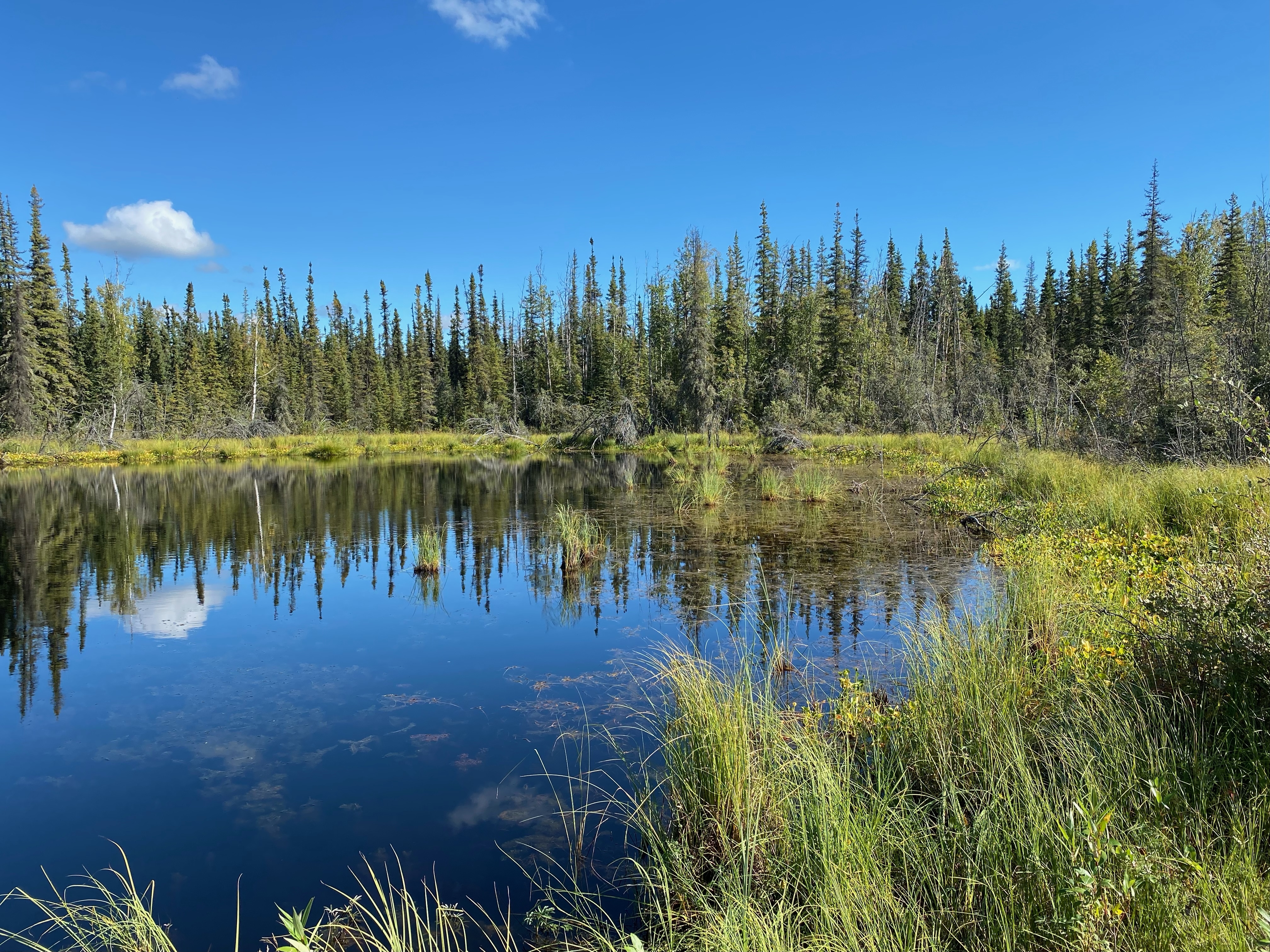 NASA Fieldwork Studies Signs of Climate Change in Arctic, Boreal Regions