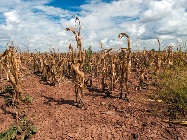 Extreme Weather and Climate Change