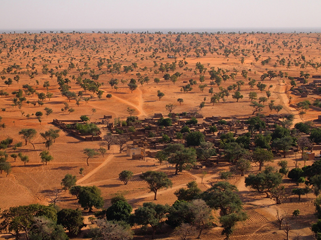 NASA-Funded Scientists Estimate Carbon Stored in African Dryland Trees