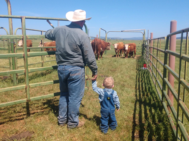 solution global warming essay Drought Makes its Home on the Range