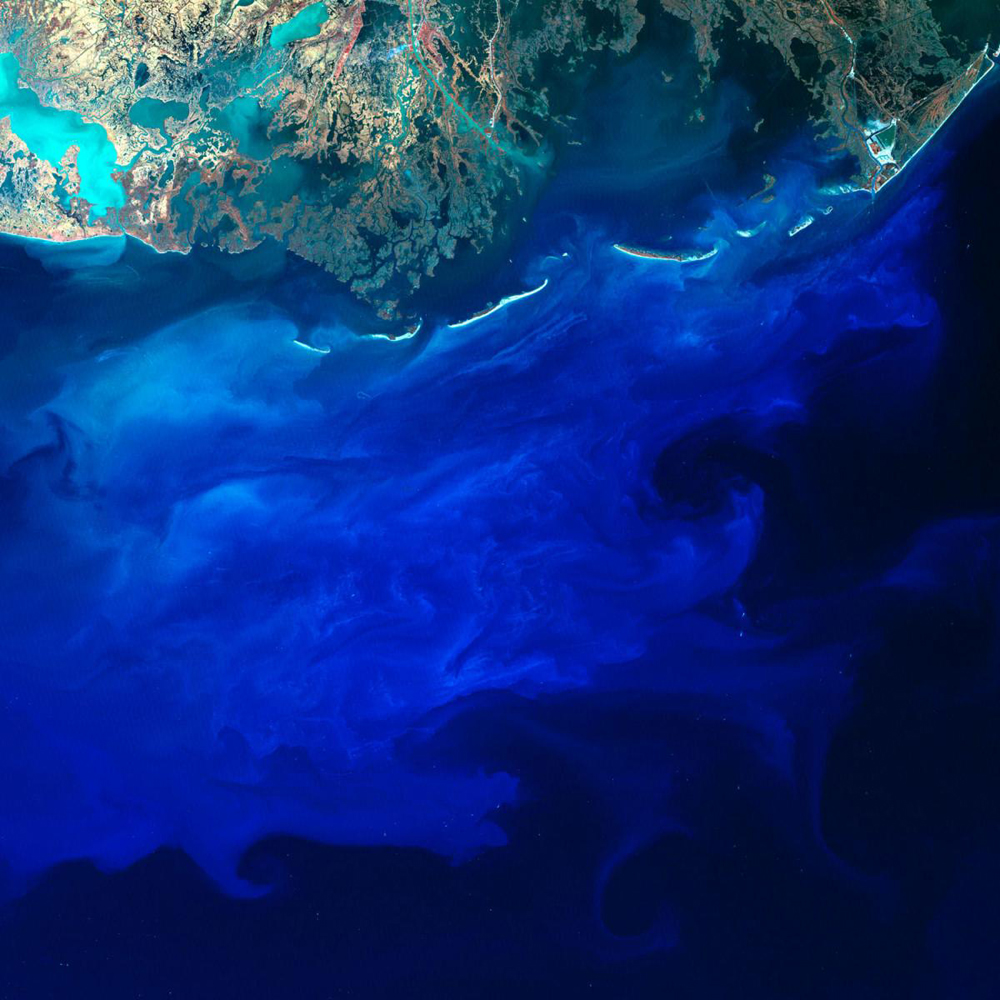 In this image, we see blue silt off the southern coast of Louisiana as the Mississippi River flows off into the Gulf of Mexico. The brightness and shade of blue depends on the density of the silt and the depth of the silt-carrying currents in the water. The small bright dots in the scene are fishing boats and oil platforms.