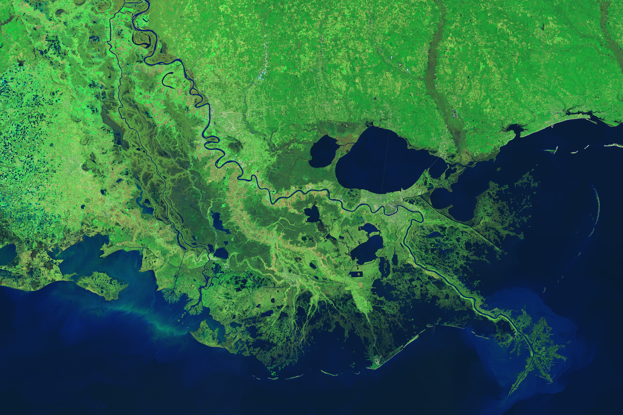 A satellite image of the Mississippi River Delta, with land shown in bright green and water shown in dark blue.
