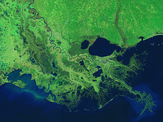 Спутники помогают ученым отслеживать драматическую потерю водно-болотных угодий в Луизиане