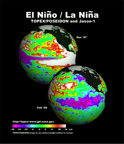 Maps of the sea surface height anomaly in the Pacific Ocean during the ‘Godzilla’ El Niño of 1997-1998, which was followed by two years of intense La Niña. Yellow and red areas indicate where the waters are relatively warmer and have expanded above normal sea level, while green indicates near-normal sea level, and blue and purple areas show where the waters are relatively colder and sea level is lower than normal. The temperature of the upper ocean can have a significant influence on weather patterns and climate. Click here to learn more.