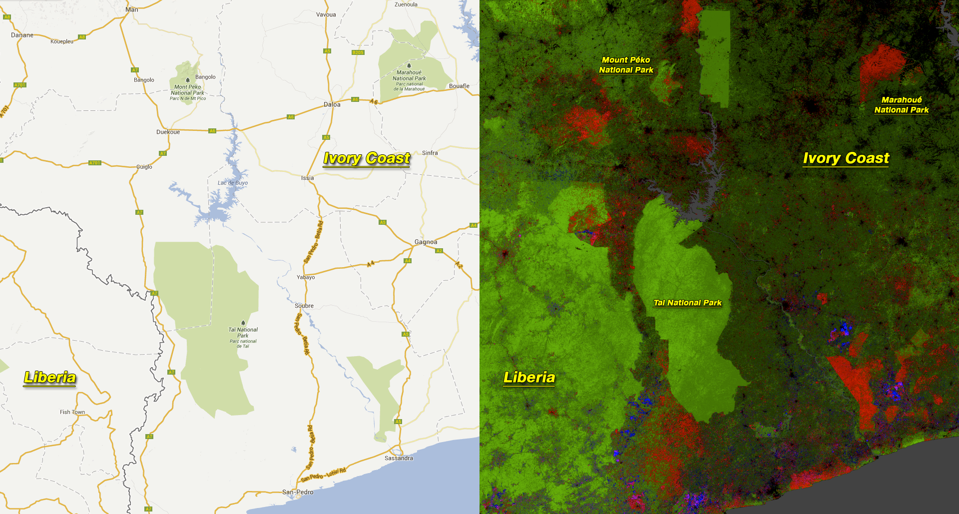 Civil unrest in Côte d'Ivoire was associated with widespread deforestation in national parks, including Marahoué National Park. Other protected areas, such as Tai National Park, remained intact. Image Credit: NASA Goddard, based on data from Hansen et al., 2013.