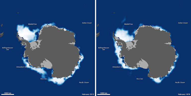 Antarctic II