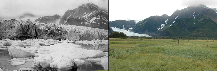The retreat of Pedersen Glacier, Alaska. Left: summer 1917. Right: summer 2005. Credit: 1917 photo captured by Louis H. Pedersen; 2005 photo taken by Bruce F. Molnia. Source: The Glacier Photograph Collection, National Snow and Ice Data Center/World Data Center for Glaciology.
› Larger image
View related images in our State of Flux gallery.