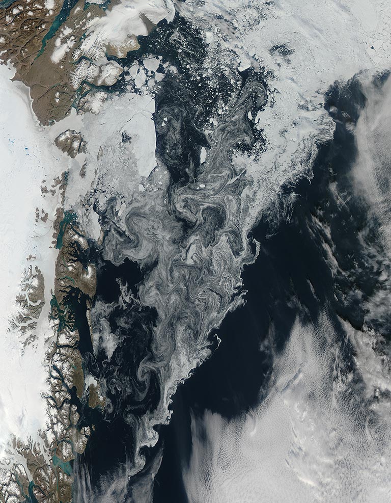 Sea ice floats off the coast of northeastern Greenland. Credit: NASA