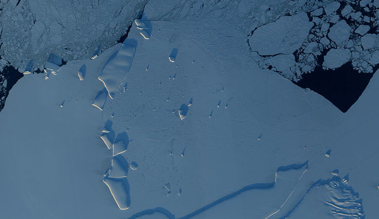This is the East Antarctic coastline. Icebergs are highlighted by the sunlight, and the open ocean appears black. Credit: NASA. View larger image.