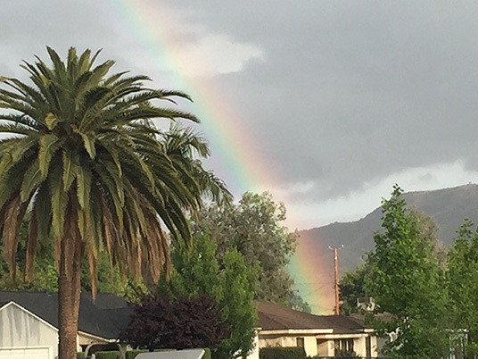 A rainbow I saw over the weekend while walking out in the rain.