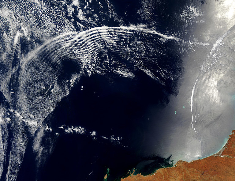 The Effects Of Climate Change On Earth