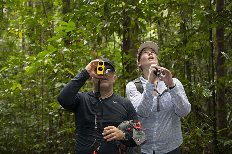 Members of the AfriSAR team, Sassan Saatchi (left) from NASA's Jet Propulsion Laboratory and Laura Duncanson (right) from NASA's Goddard Space Flight Center take measurements of trees in the rainforest in the Mondah National Park, Gabon. Credit: NASA/Carla Thomas.