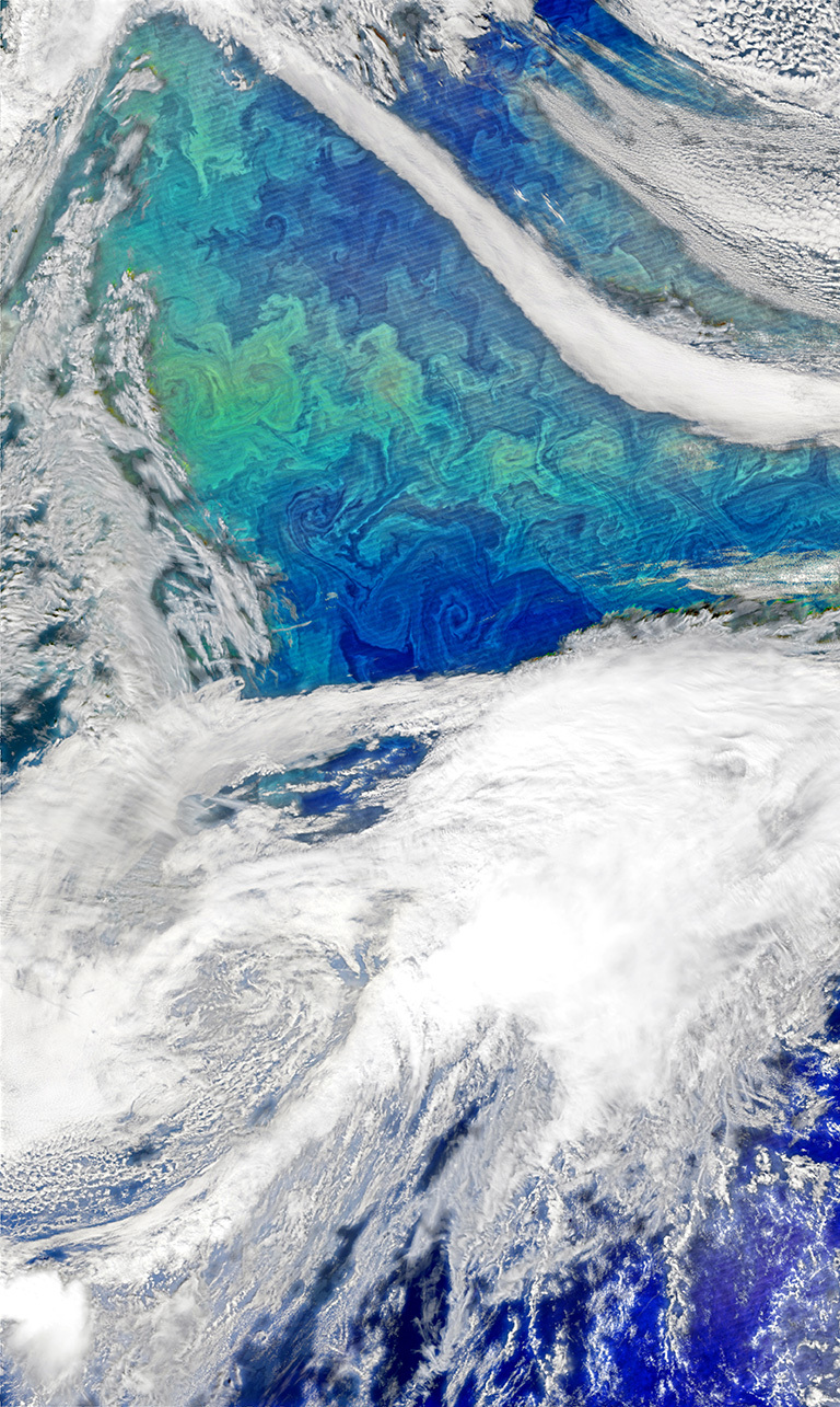 Each spring, the waters of the North Atlantic Ocean host a huge natural bloom of phytoplankton—microscopic, plant-like organisms that are important for carbon cycling and also could influence clouds and climate. Source: NASA's Earth Observatory. Credit: Norman Kuring, using VIIRS data from the Suomi National Polar-orbiting Partnership.