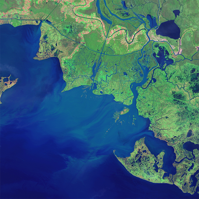 Bringing back the bayou NASA helps Louisiana wetlands avoid bleak