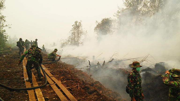 El Ni o a key player in severe Indonesia  fires Climate  