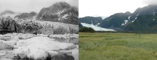 Pedersen Glacier, Alaska. Left: 1917. Right: 2005. Credits: 1917 photo captured by Louis H. Pedersen; 2005 photo taken by Bruce F. Molnia. From the Glacier Photograph Collection, National Snow and Ice Data Center/World Data Center for Glaciology.