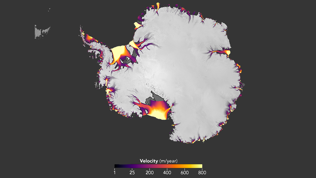 The flow of Antarctic ice