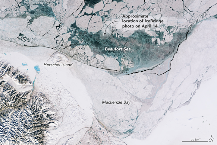 Spring has sprung in the Arctic Ocean