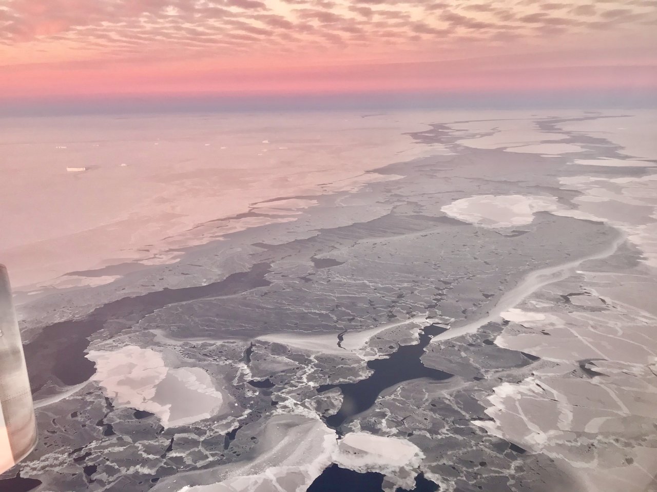 New sea ice growing in a lead at different stages of formation with the pink skies creating nice lighting on the ice. Credit: NASA/Linette Boisvert