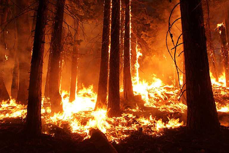 Six Trends To Know About Fire Season In The Western U S Climate Change Vital Signs Of The Planet