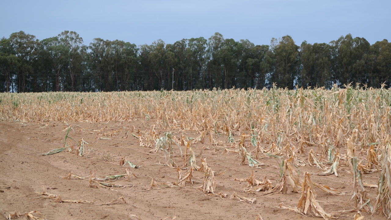 when-drought-threatens-crops-nasa-s-role-in-famine-warnings-climate