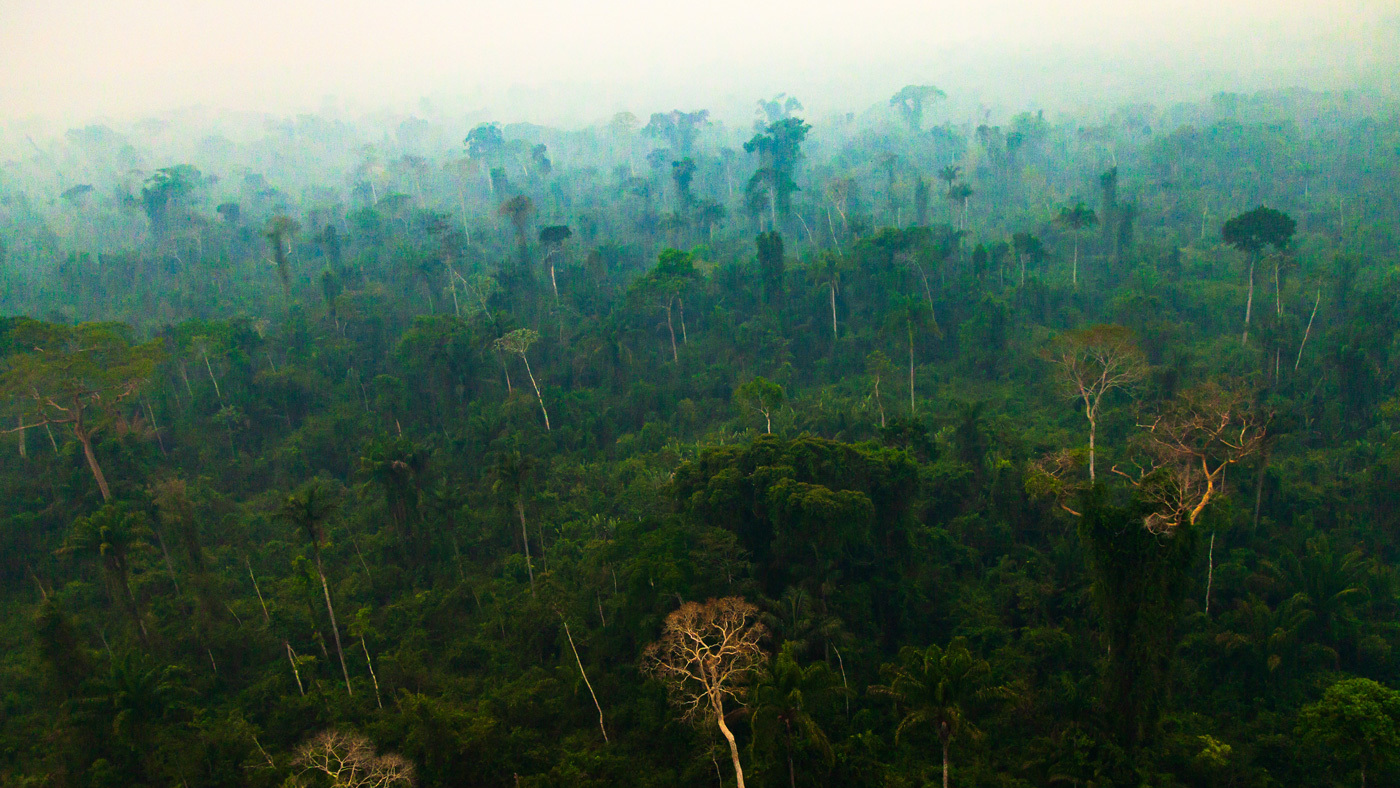 Human Activities Are Drying Out the Amazon: NASA Study ...