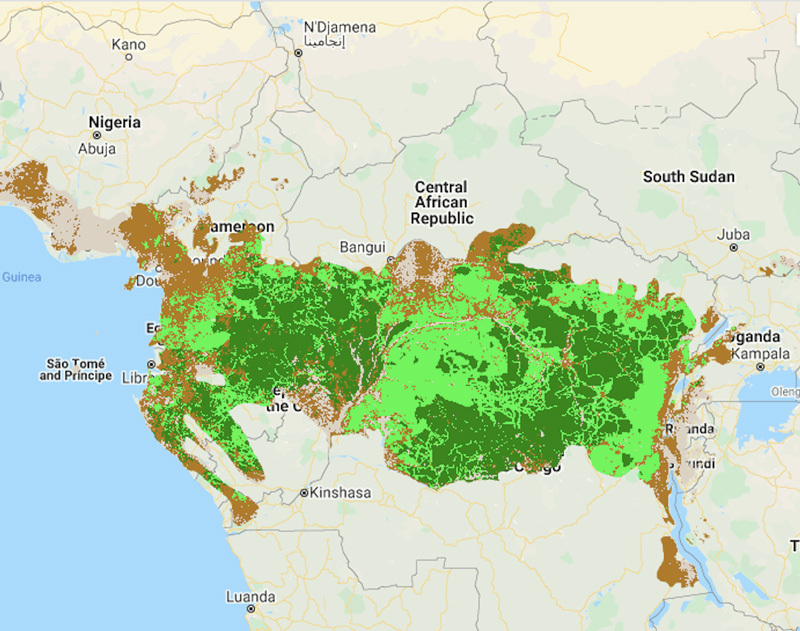 Map of tropical forest quality