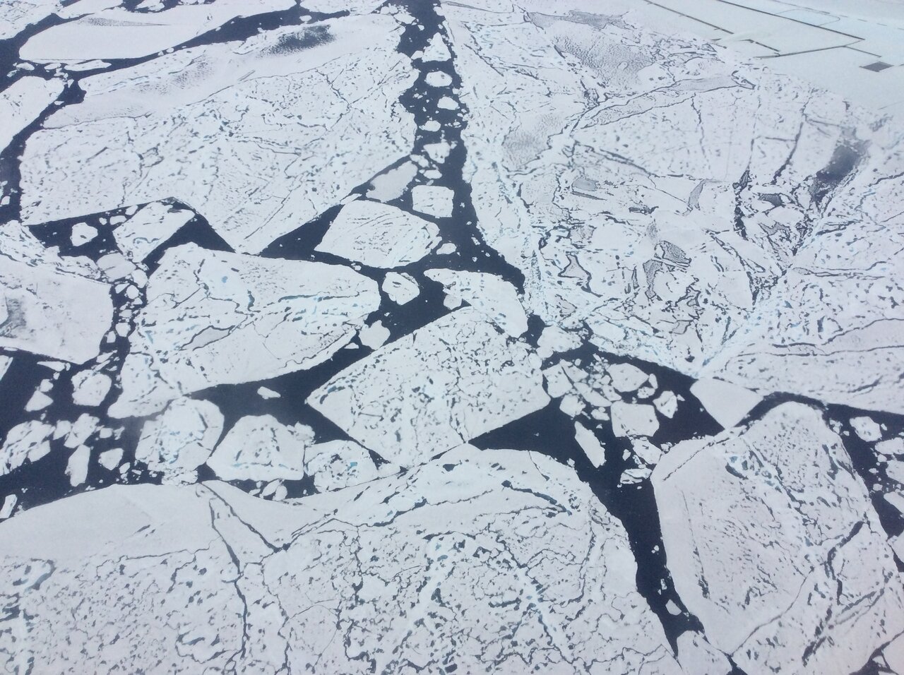 Close-up view of sea ice floes at 79 N from 500 feet from NASA's DC-8 Research aircraft. The dark features on the ice are melt ponds, and the dark areas of between the floes are open water of the Arctic Ocean.