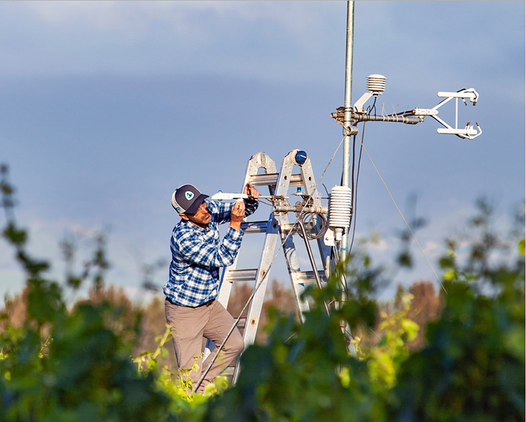 Forrest Melton, NASA project scientist for OpenET, adjusts a scientific instrument in a California vineyard.