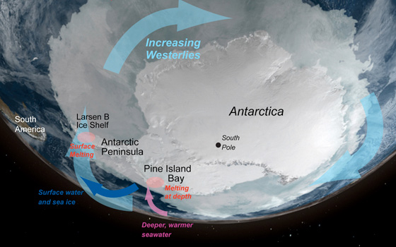 West Antarctica is seeing dramatic ice loss particularly the Antarctic Peninsula and Pine Island regions. Ice loss culprits include the loss off buttressing ice shelves, wind, and a sub-shelf channel that allows warm water to intrude below the ice. Credit: NASA/NSIDC