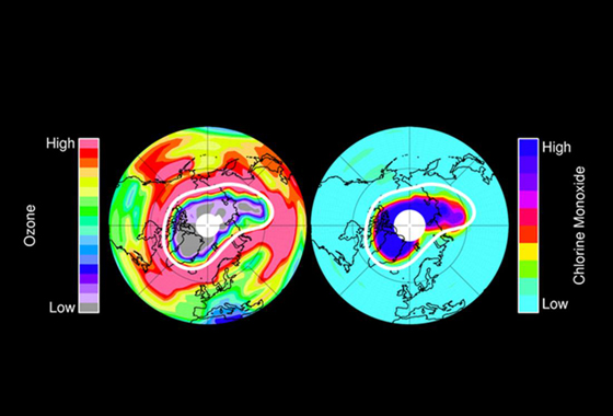Left: Ozone in Earth's stratosphere at an altitude of approximately 12 miles (20 kilometers) in mid-March 2011, near the peak of the 2011 Arctic ozone loss. Red colors represent high levels of ozone, while purple and grey colors (over the north polar region) represent very small ozone amounts. Right: chlorine monoxide – the primary agent of chemical ozone destruction in the cold polar lower stratosphere – for the same day and altitude. Light blue and green colors represent small amounts of chlorine monoxide, while dark blue and black colors represent very large chlorine monoxide amounts. The white line marks the area within which the chemical ozone destruction took place. Image credit: NASA/JPL-Caltech