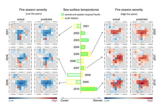 A new model uses sea surface temperatures to successfully predict fire activity in the Amazon months in advance. The diagram above shows the model predictions and a representation of the actual observations side by side. The high fire seasons of 2005, 2007 and 2010 are shown on the right of the diagram. The low fire seasons of 2001, 2008 and 2009 are shown on the left. Credit: UC Irvine/Yang Chen