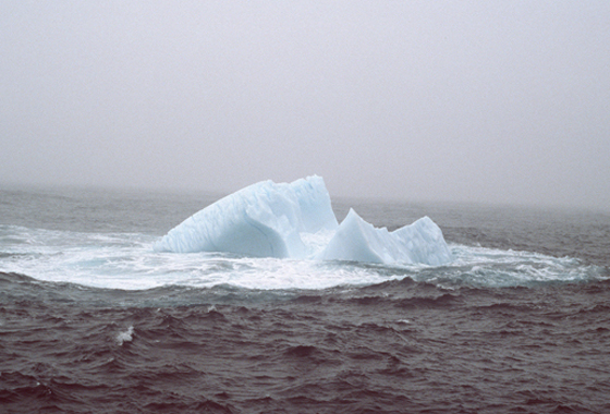 Iceberg off the coast of Newfoundland, 1984. Credit: Susan Digby.