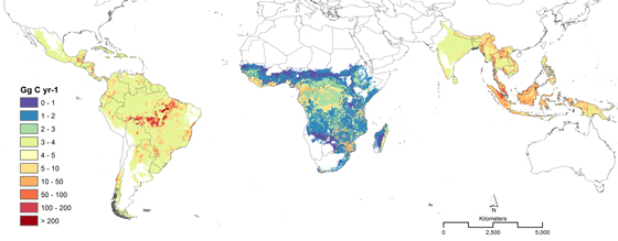 Distribution of annual carbon emissions from gross forest cover loss between 2000 and 2005 mapped at a spatial resolution of 11.5 miles (18.5 kilometers). Credit: Winrock International