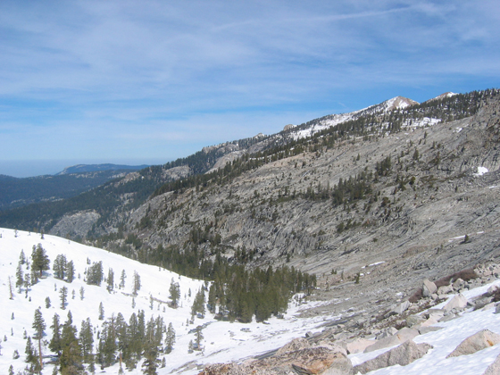 A Sierra Nevada forest in Sequoia National Park, Calif. Forest patterns are correlated to snow depth.
Image credit: University of Colorado, Boulder