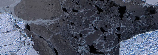 A Digital Mapping System (DMS) mosaic of Arctic sea ice. The dark areas are leads, or open areas of water. Identifying leads is one of the necessary steps in preparing IceBridge’s quick look sea ice thickness data product. Credit: NASA / DMS team