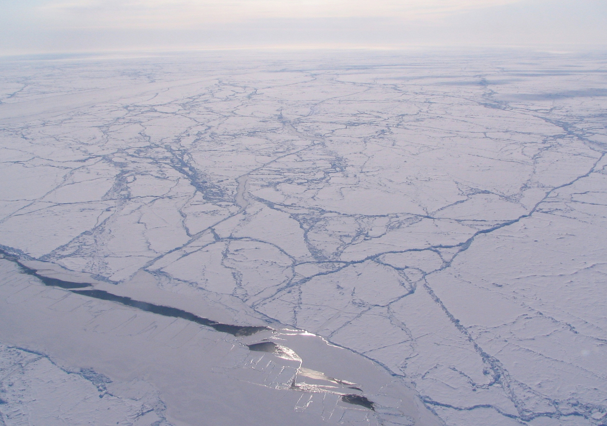 Sun glints off a sea ice lead in an otherwise heavily ridged ice pack, Canada Basin (Arctic Ocean). Image credit: NASA